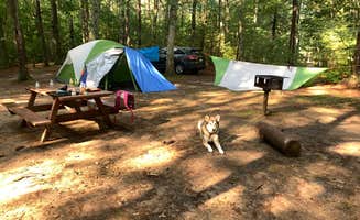 katheryn H.'s photo at Lorraine Park Campground — Harold Parker State Forest near Rowley, MA