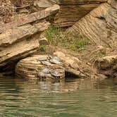 Review photo of Tyler Bend Campground — Buffalo National River by gebriell S., August 3, 2021