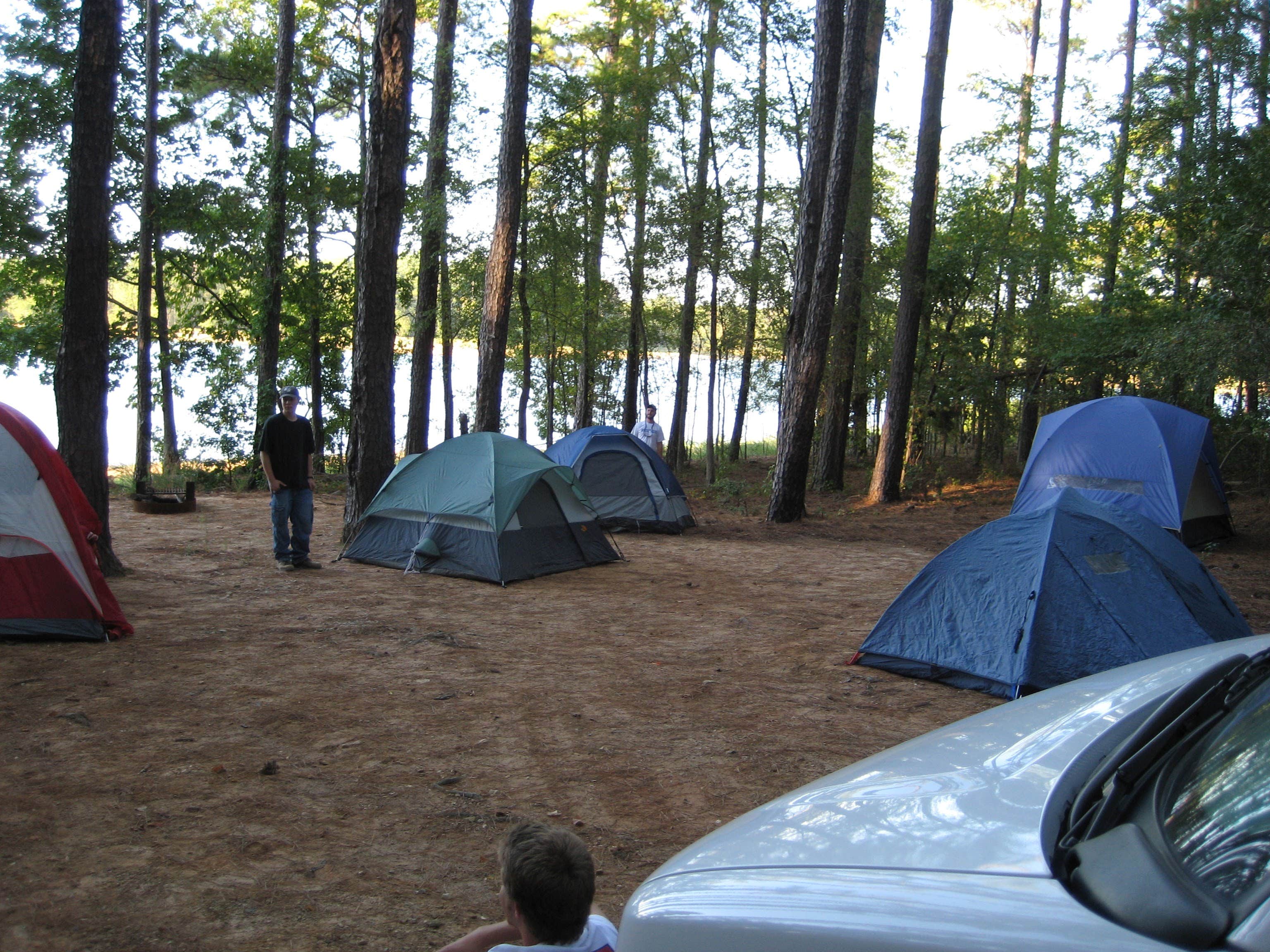 Camper submitted image from Ridge Road - J Strom Thurmond Lake - 4