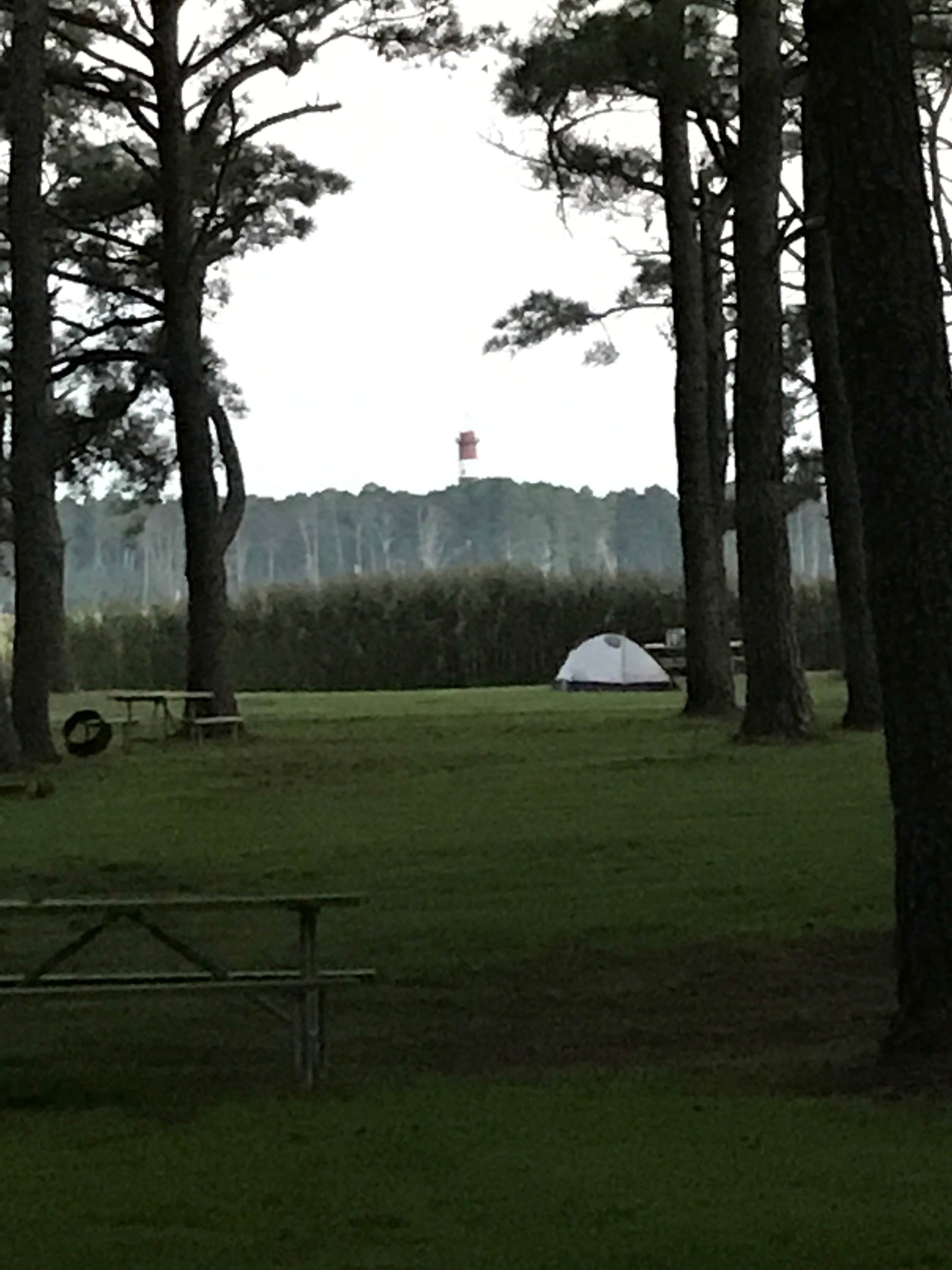 Camper submitted image from Jellystone Park™ Chincoteague Island - 4