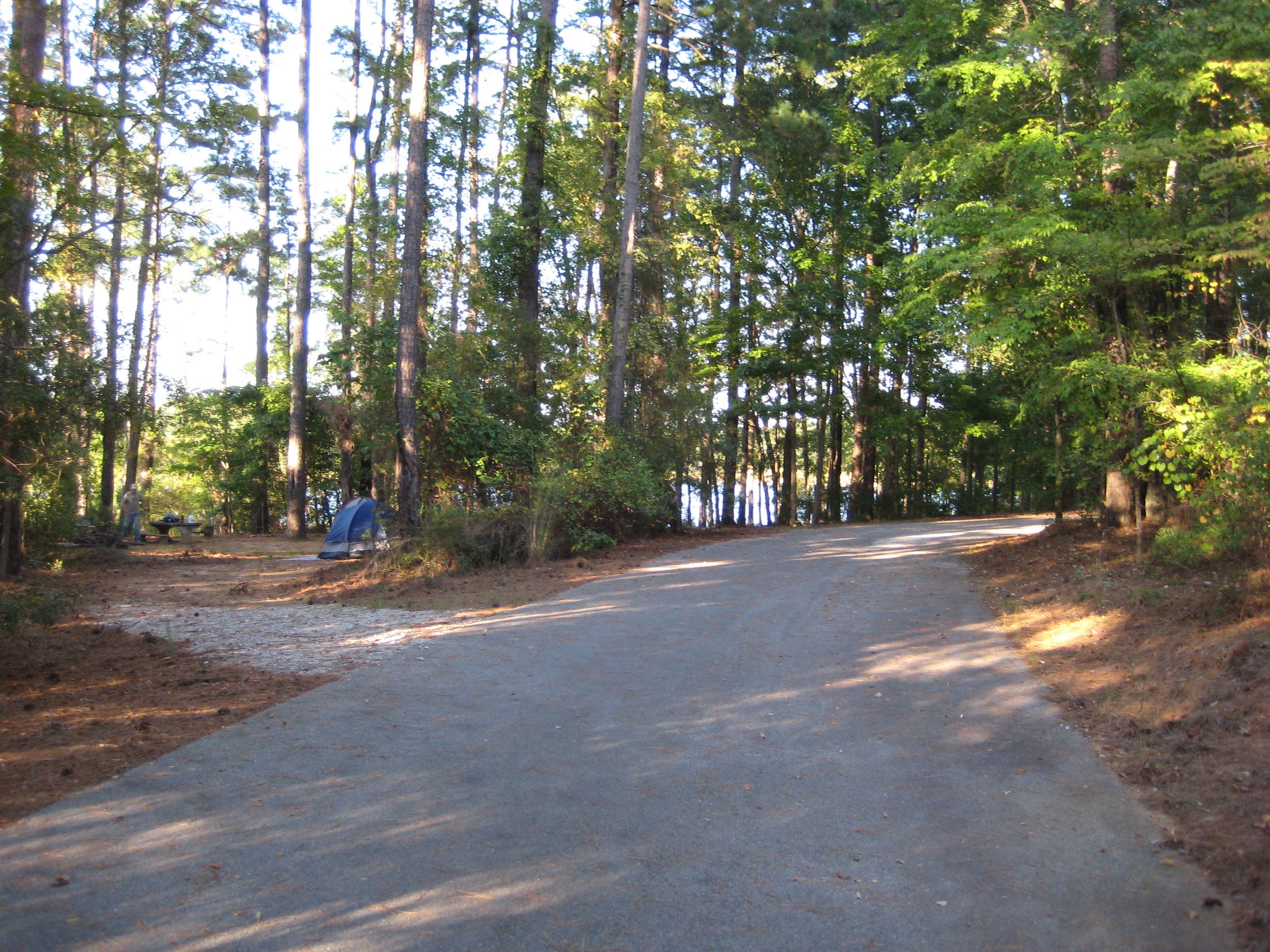 Camper submitted image from Ridge Road - J Strom Thurmond Lake - 4