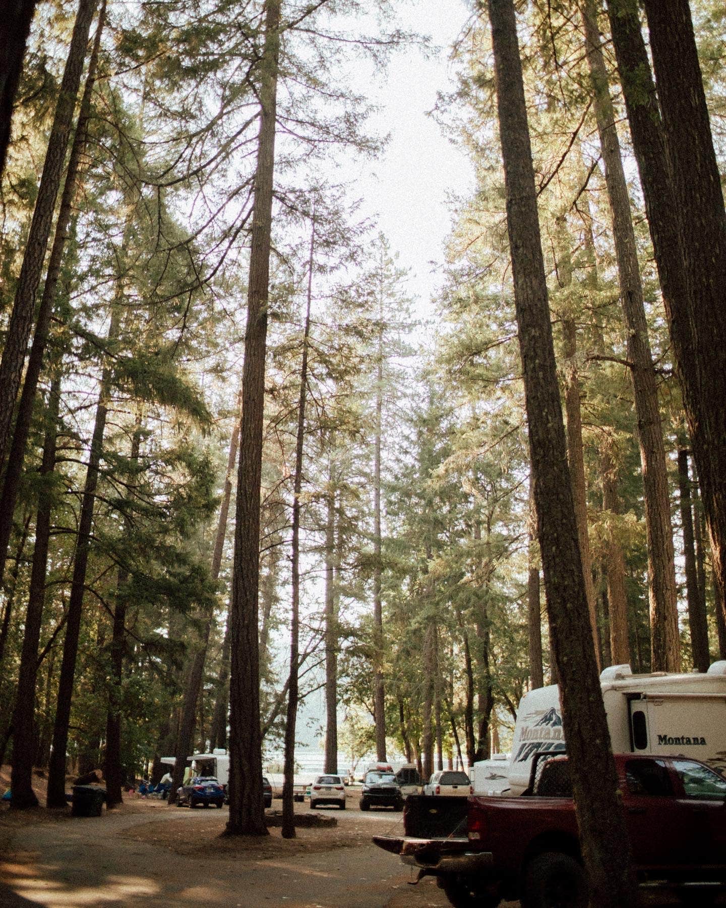 Camping near Smoke on the Water: Lake Selmac Resort, Selma, Oregon