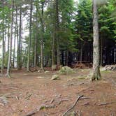 Review photo of Rangeley Lake State Park Campground by Reed D., June 18, 2018