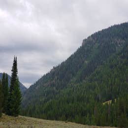 North Fork Big Wood River dispersed #5