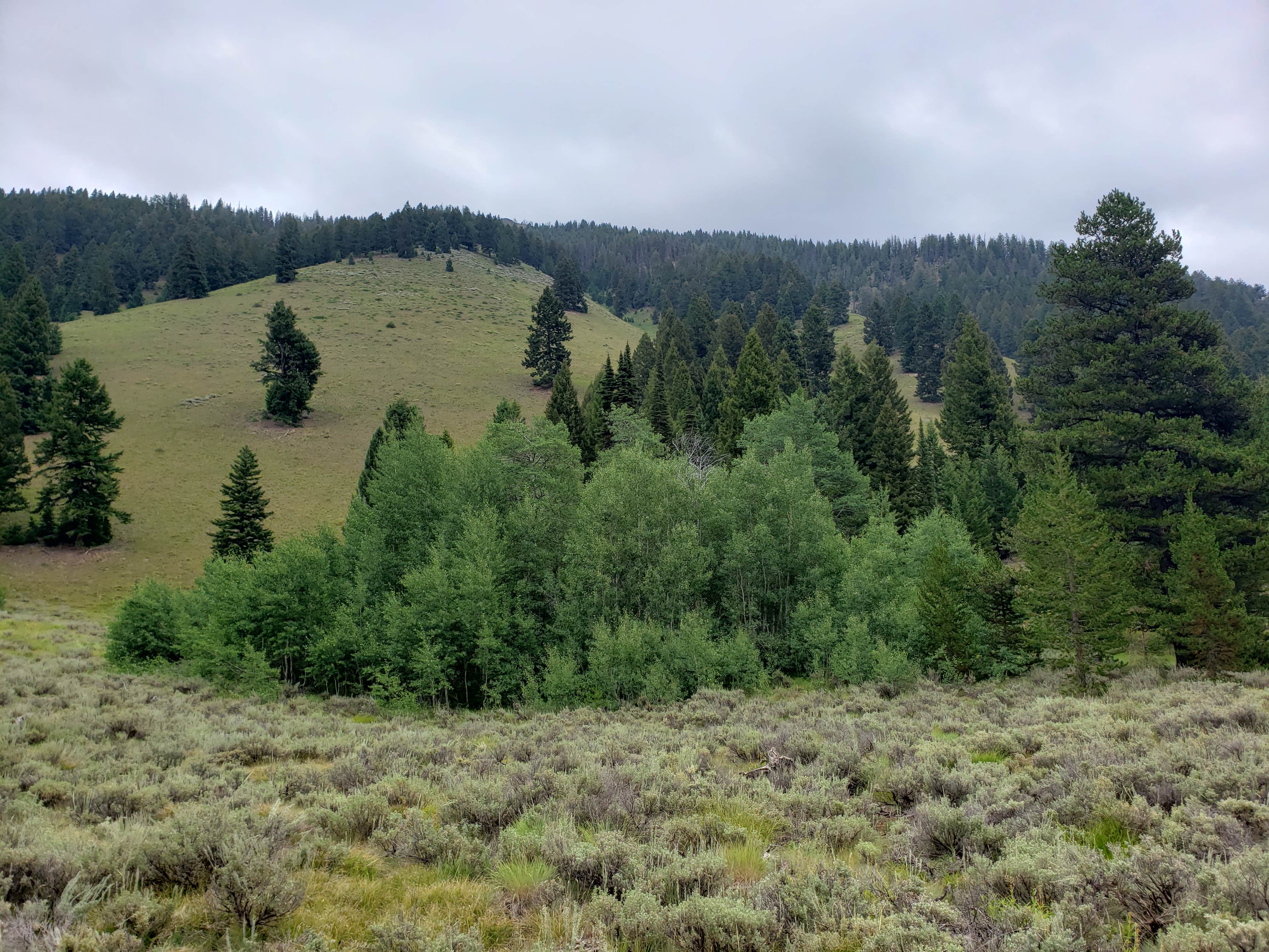 Camper-submitted photo at North Fork Big Wood River dispersed #5 near Sun Valley, ID