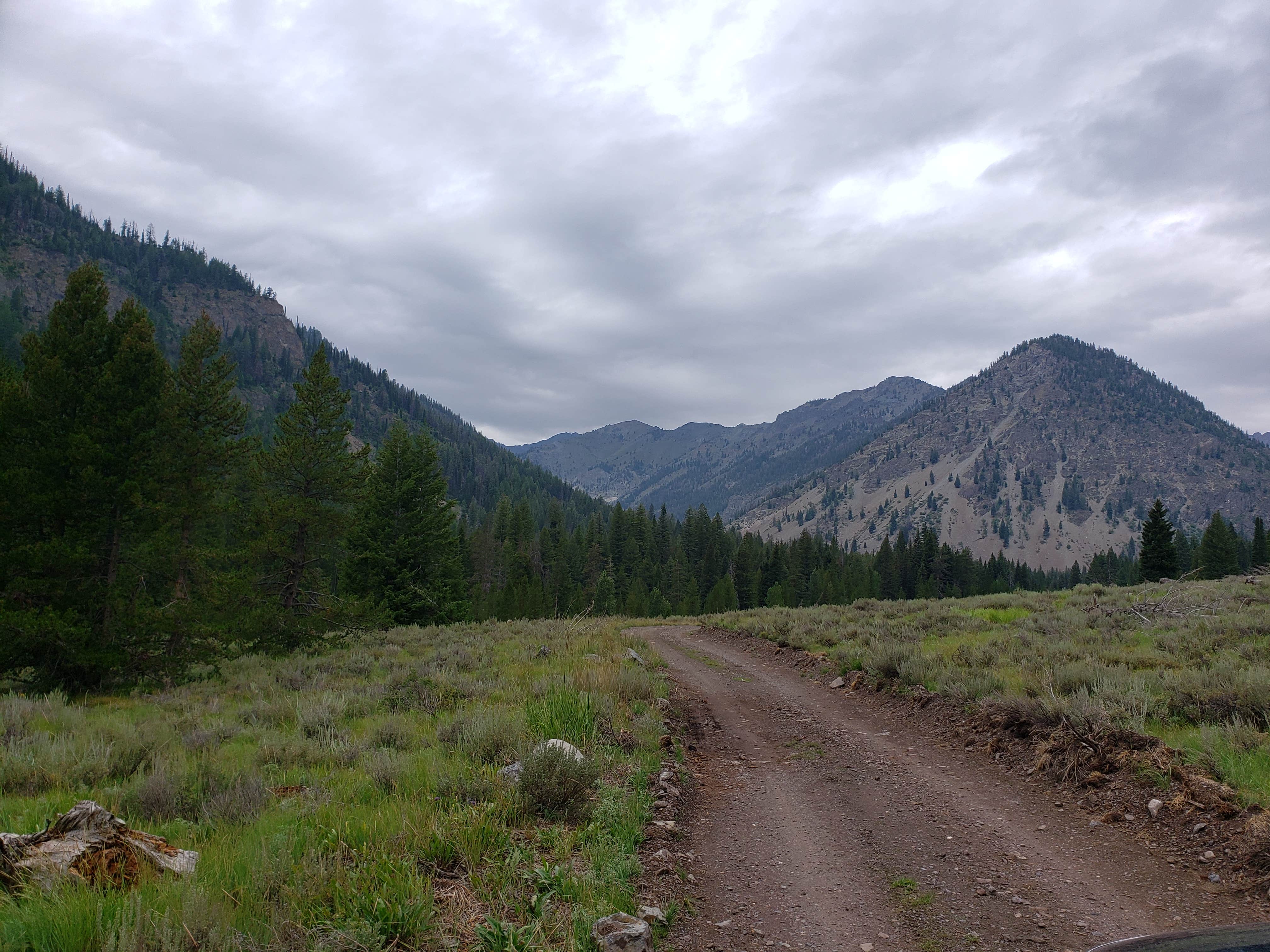 Camper submitted image from North Fork Big Wood River dispersed #5 - 3