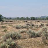 Review photo of Cottonwood Campground — Theodore Roosevelt National Park by Joe C., August 3, 2021