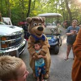 Review photo of Yogi Bear's Jellystone Park Mill Run by rich  E., June 18, 2018