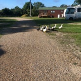 Review photo of Shady Lake RV Park by Robyn W., July 17, 2021