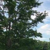 Review photo of Village Creek State Park Campground by Robyn W., July 17, 2021