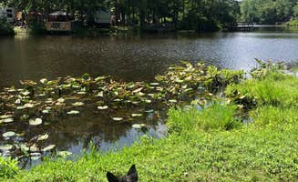 Robyn W.'s photo of camping with pets at Timberland Lake Campground near Toms River, NJ