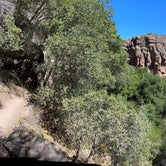 Review photo of Pinnacles Campground — Pinnacles National Park by roxanne , August 4, 2021