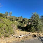 Review photo of Pinnacles Campground — Pinnacles National Park by roxanne , August 4, 2021