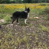 Review photo of Abilene State Park Campground by Robyn W., August 4, 2021