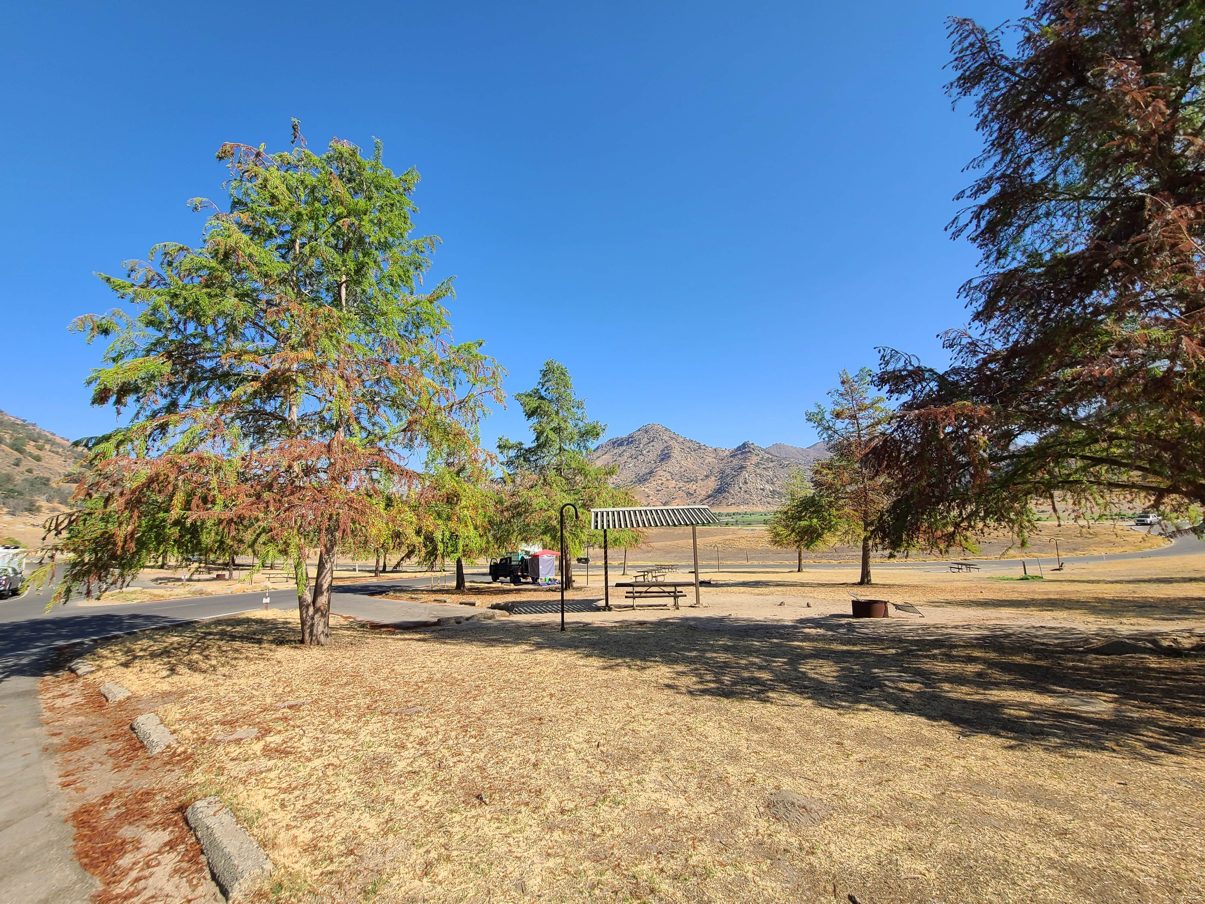 Horse Creek The Dyrt