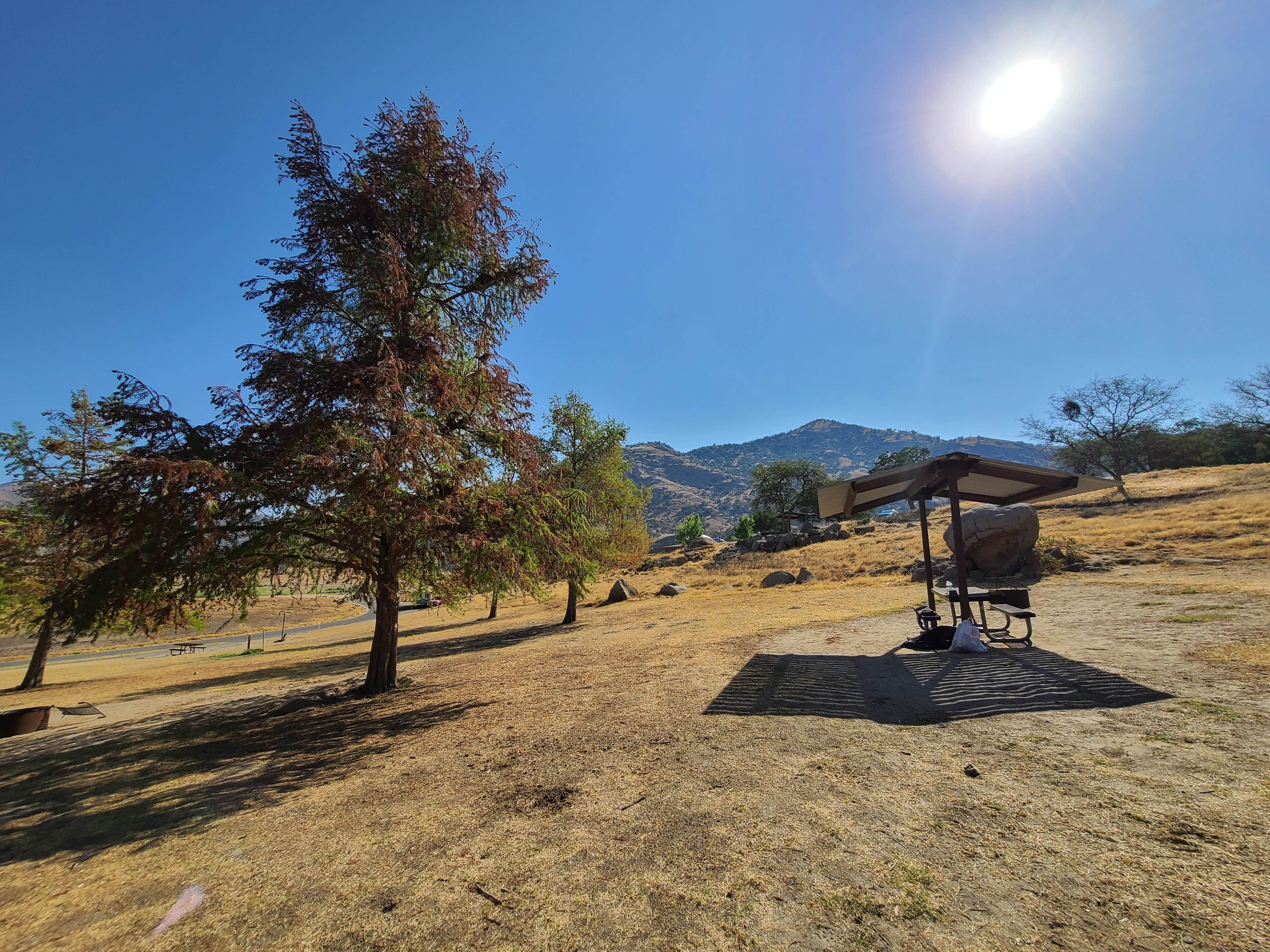 Camper submitted image from Horse Creek - 5