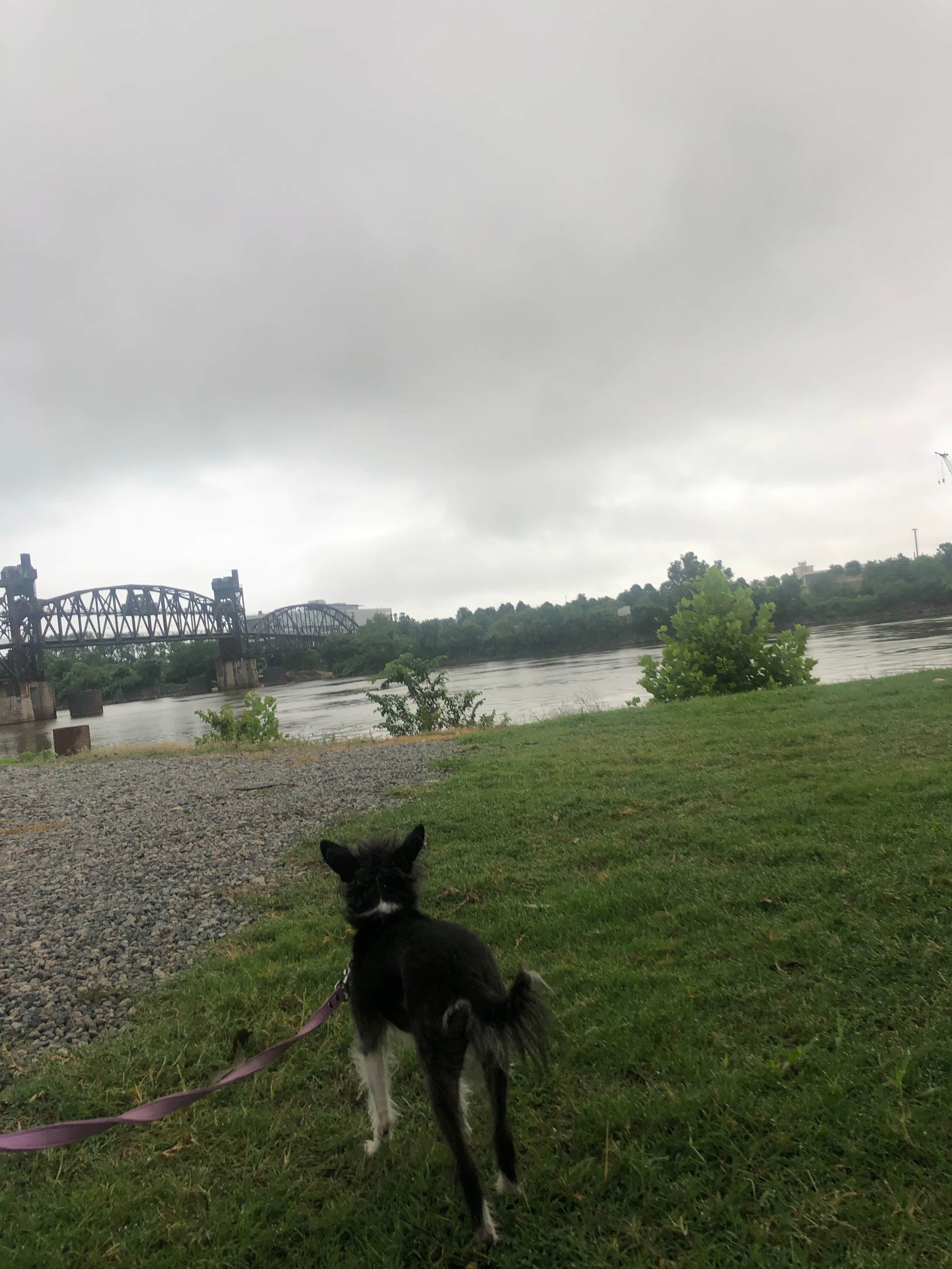 Robyn W.'s photo of camping with pets at Downtown Riverside RV Park near Cabot, AR