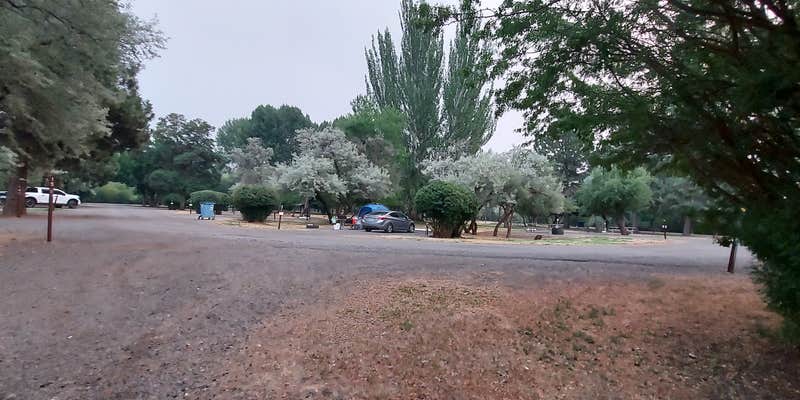 Camper submitted image from Goose Lake State Recreation Area