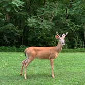 Review photo of Scales Lake Park by Heather M., August 4, 2021