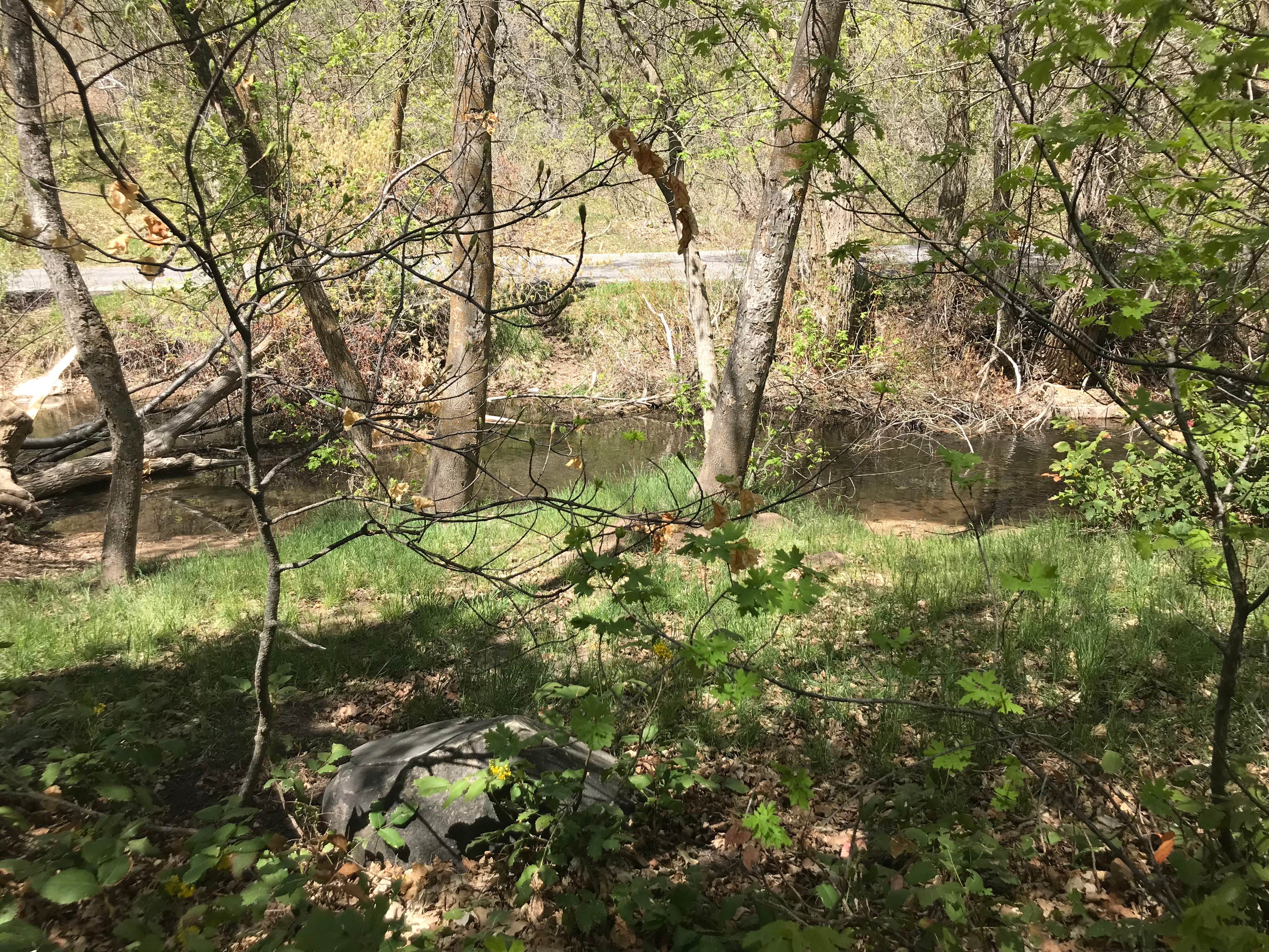 Camper-submitted photo at Cherry Hill Campground near Kaysville, UT
