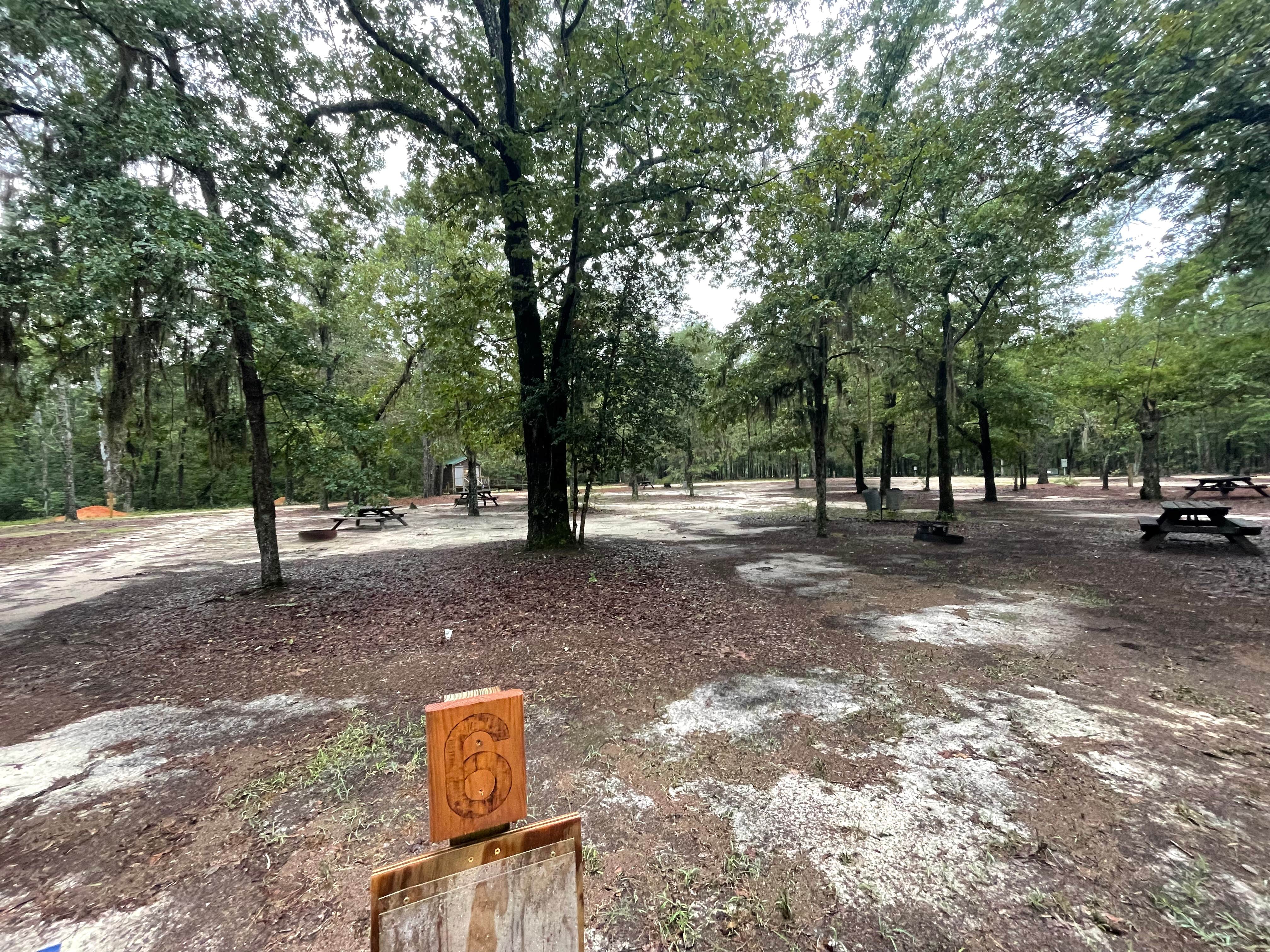 Camper-submitted photo at Lynches River County Park near Darlington, SC