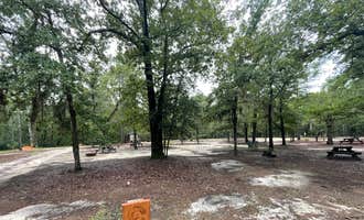 Camping near Nowhere Campground: Lynches River County Park, Coward, South Carolina