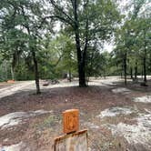 Review photo of Lynches River County Park by Russ A., August 4, 2021