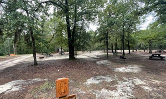 Camping near Lee State Park: Lynches River County Park, Coward, South Carolina