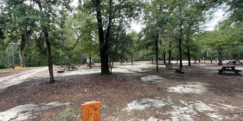 Camper submitted image from Lynches River County Park