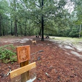 Review photo of Lynches River County Park by Russ A., August 4, 2021