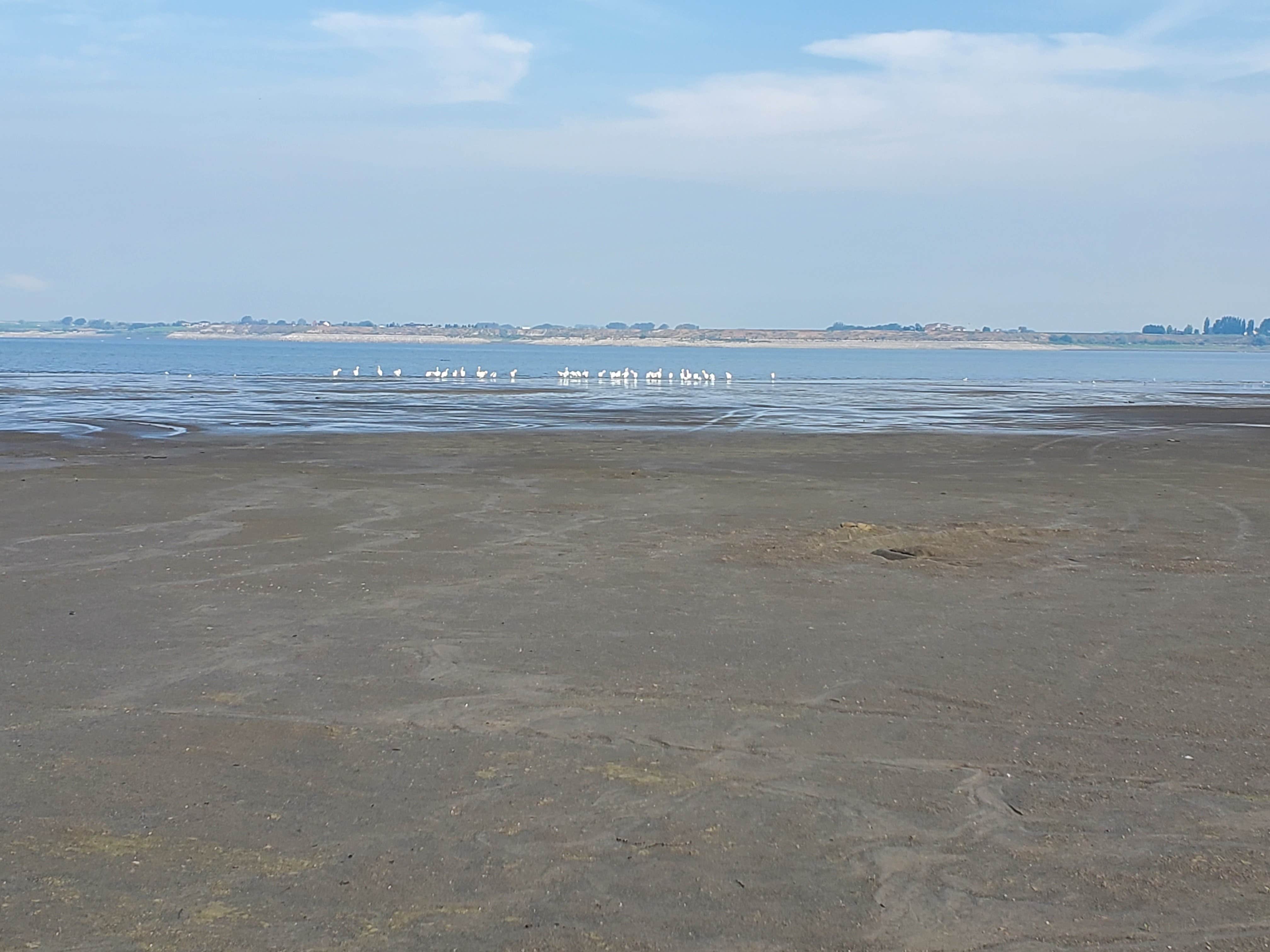 Camper-submitted photo at Willow Bay Resort near American Falls, ID