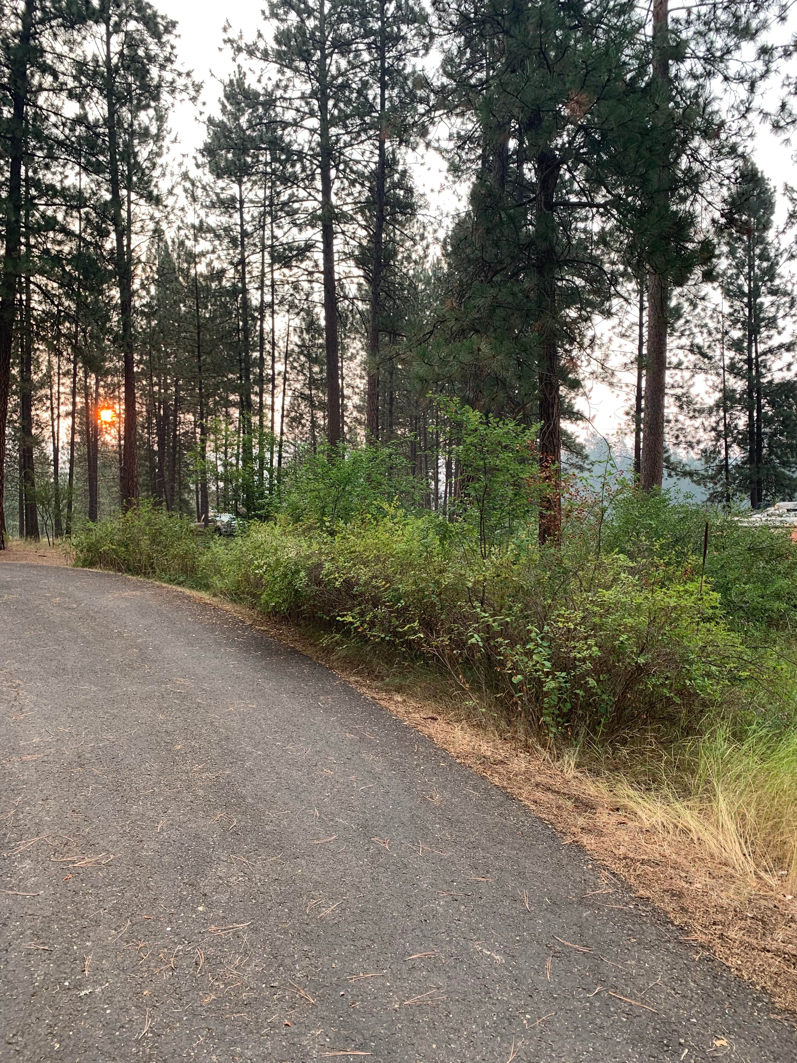 Camper-submitted photo at Sloway Campground near Ronan, MT