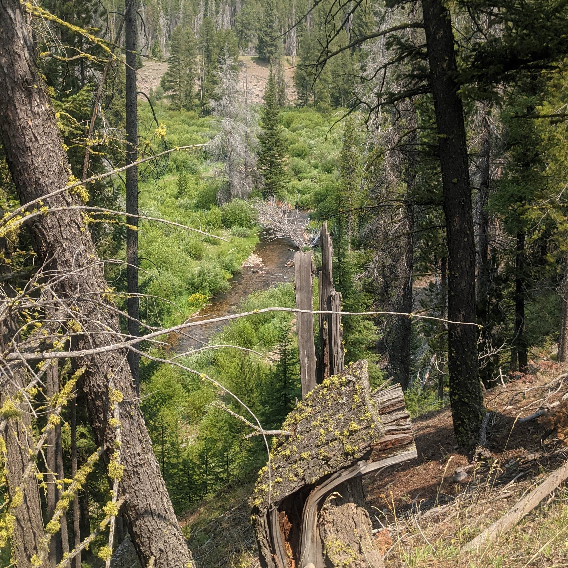 Escape to Idaho's Gem: Copper Creek Campground - Where Adventure Meets Tranquility