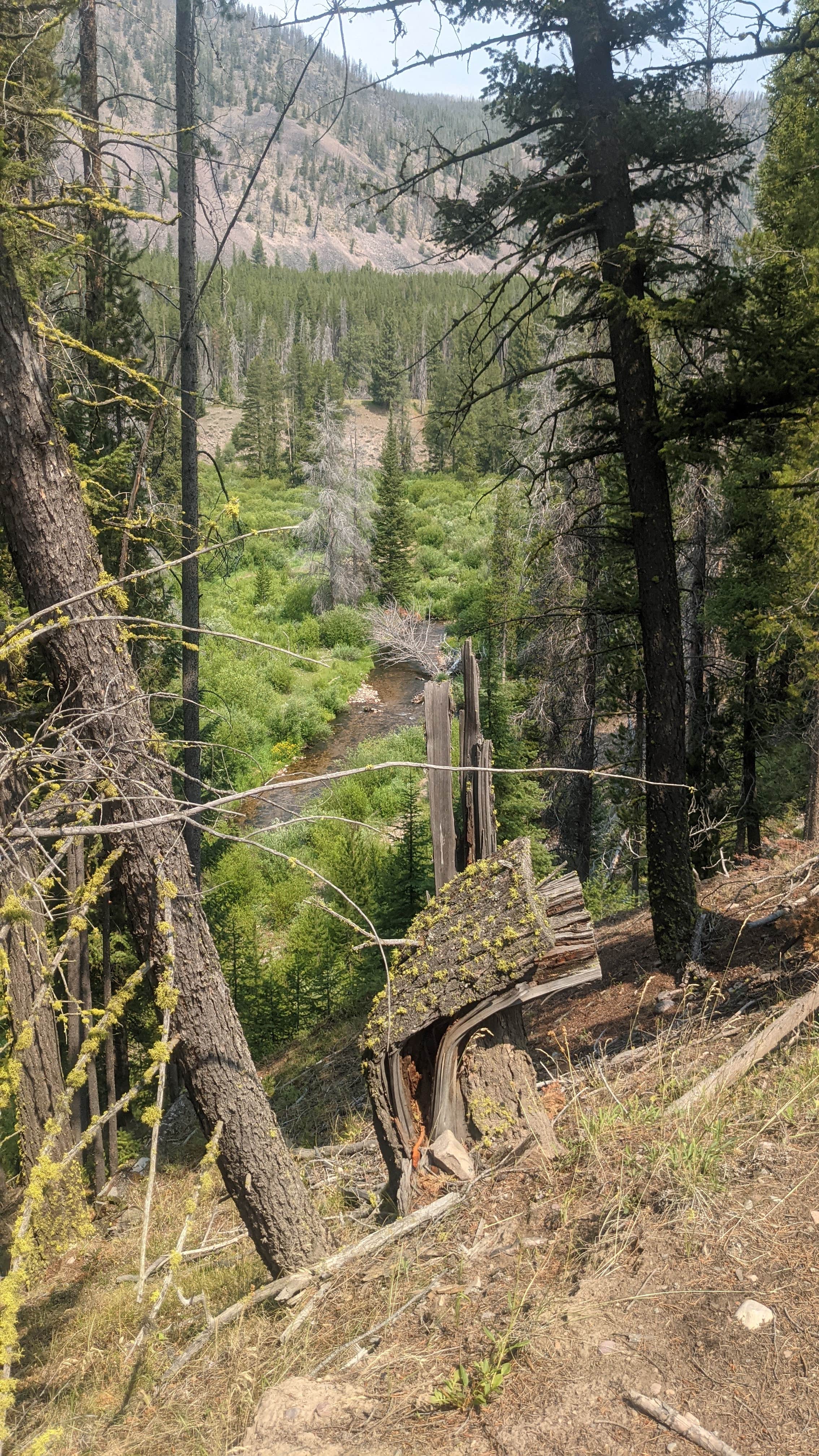 Camper submitted image from Copper Creek Campground - 2