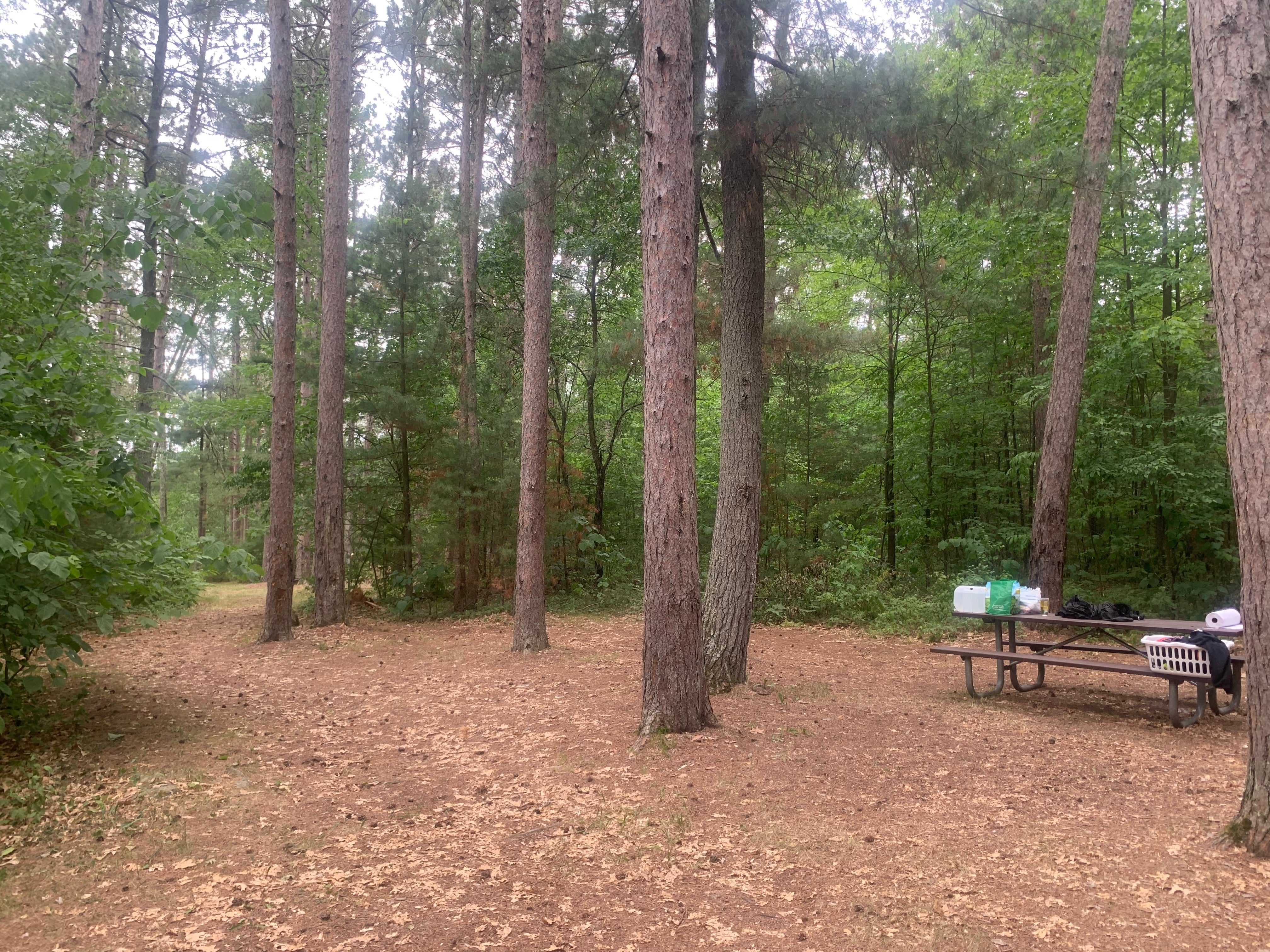 Camper submitted image from Sandrock Cliffs — Saint Croix National Scenic Riverway - 1