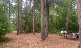 Camping near James N McNally City Campground: Sandrock Cliffs — Saint Croix National Scenic Riverway, Grantsburg, Wisconsin