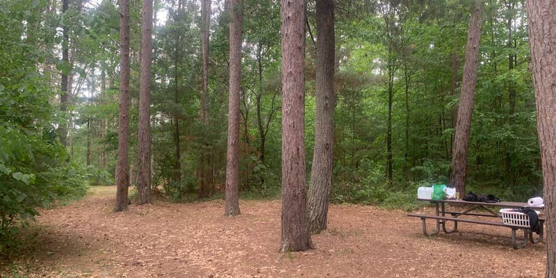 Camper submitted image from Sandrock Cliffs — Saint Croix National Scenic Riverway