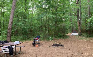 Emily's photo of a dispersed camping area at Sandrock Cliffs — Saint Croix National Scenic Riverway in Wisconsin