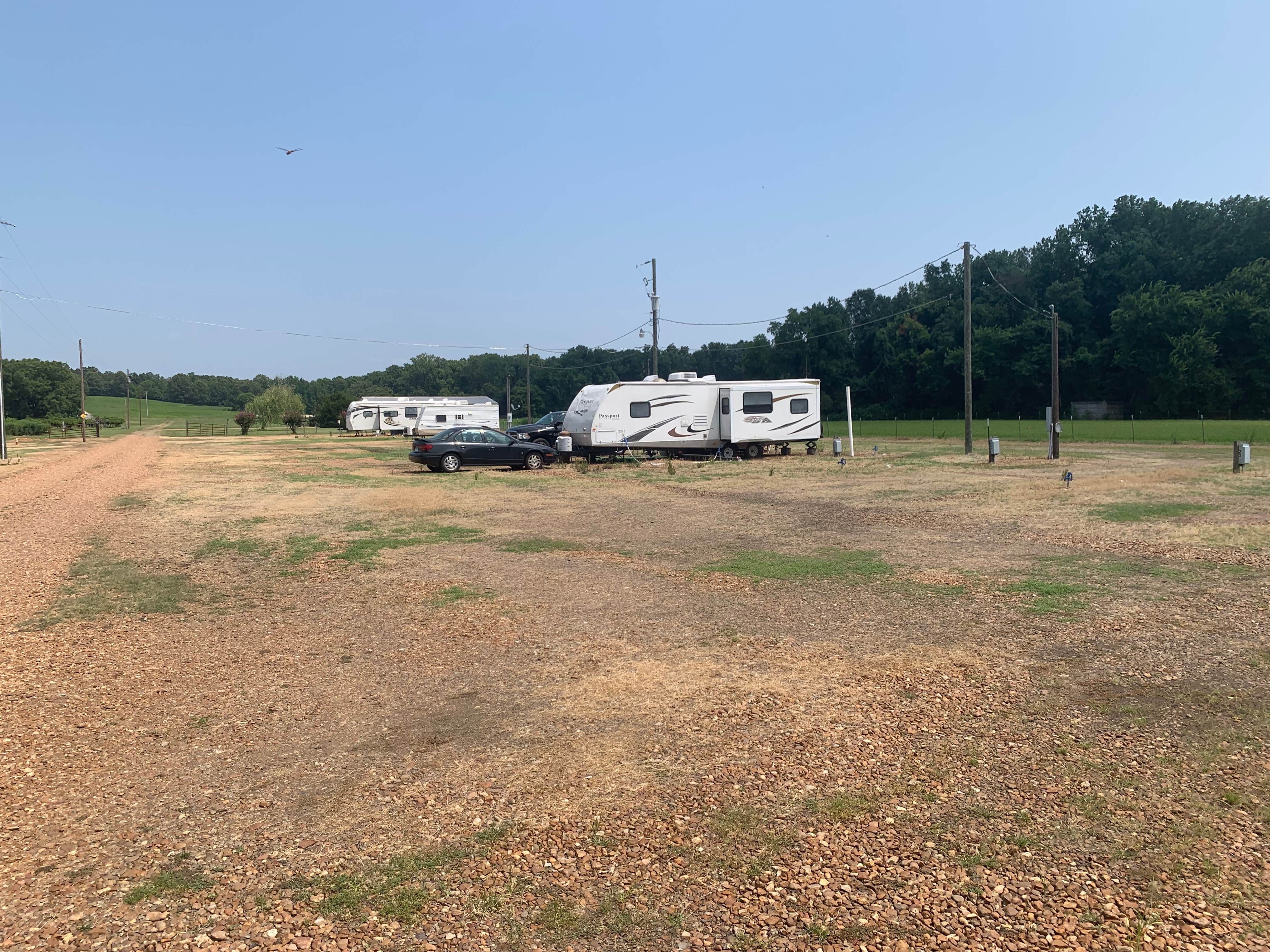 Camper-submitted photo at Ray Houser's RV Park near LaGrange, AR