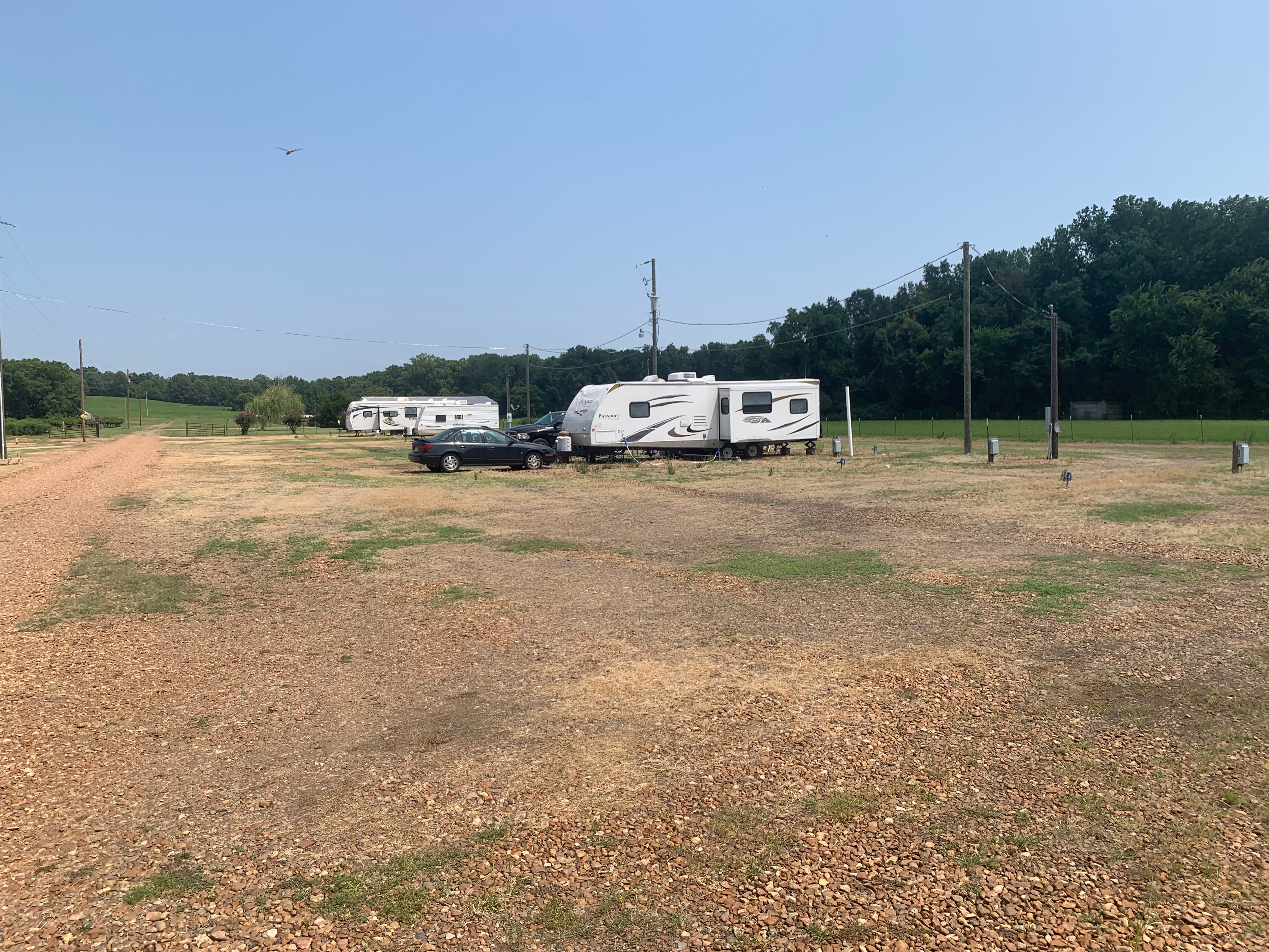 Camper submitted image from Ray Houser's RV Park - 5