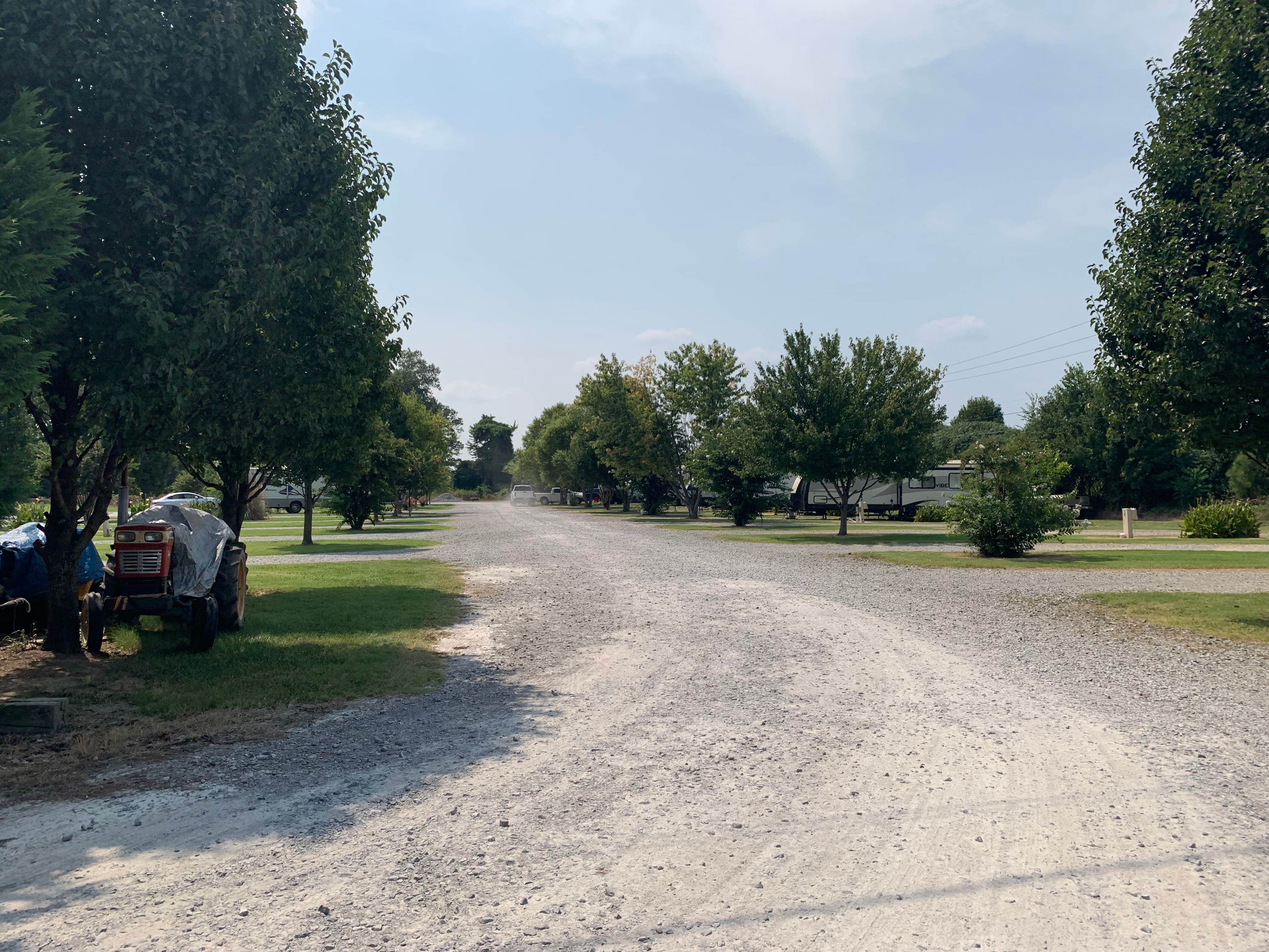 Camper submitted image from Delta Ridge RV Park - 5