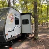 Review photo of South Bass Island State Park Campground by Michelle C., August 4, 2021