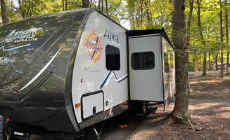 Michelle C.'s photo of rv camping at South Bass Island State Park Campground near Riverview, MI
