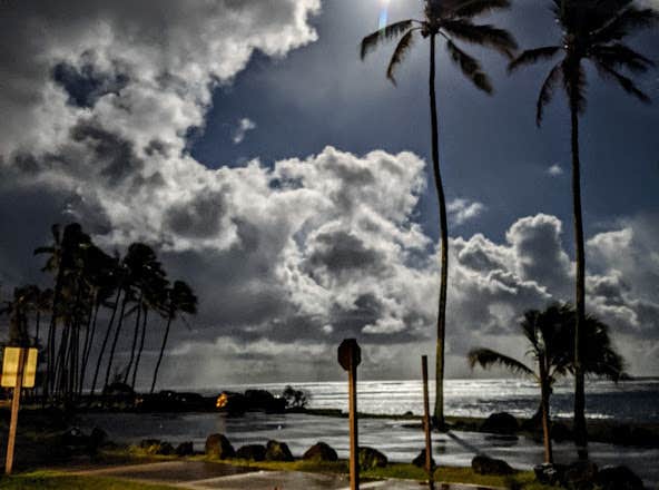 Camper-submitted photo at Kapa'a Beach Park near Pu'u O Umi Natural Area Reserve
