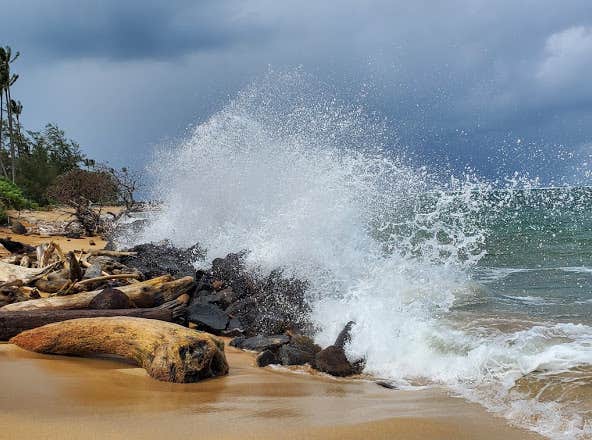 Camper submitted image from Kapa'a Beach Park - 3