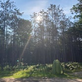 Review photo of Nordhouse Dunes Wilderness - Green Road by Cameron , August 4, 2021