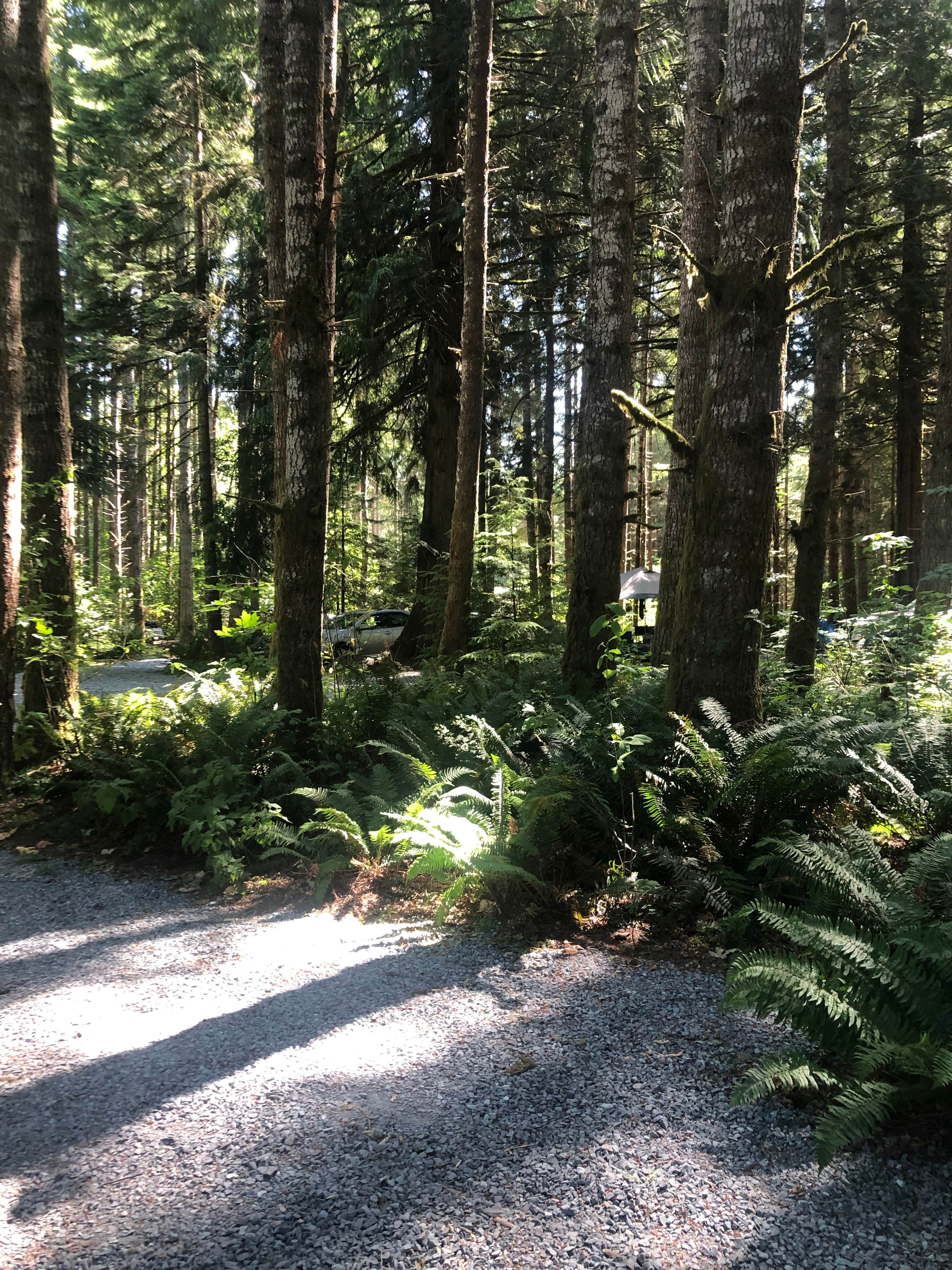 Best camping near Kent, Washington The Dyrt