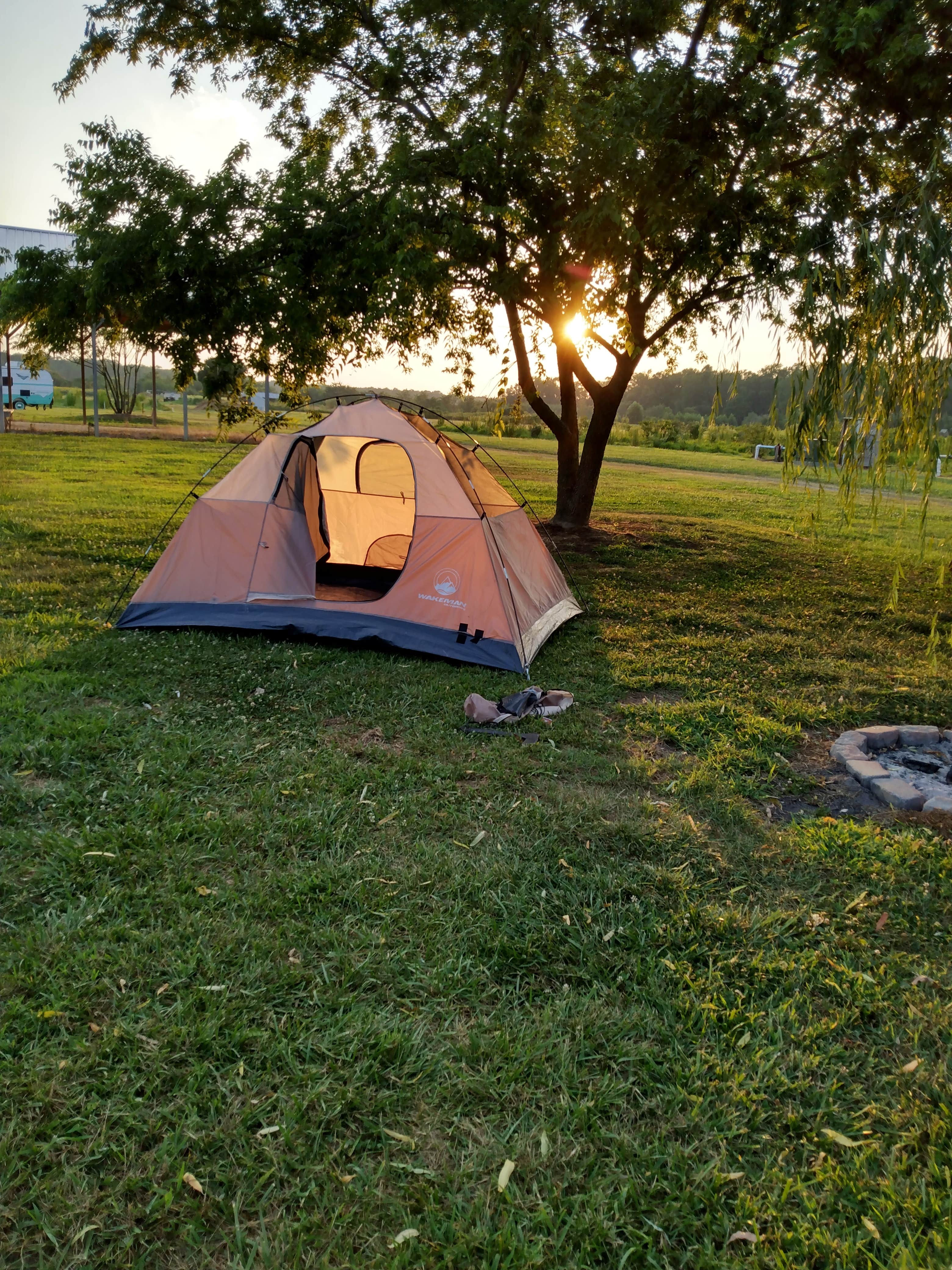 Camper submitted image from Historic Blueberry Farm - 1