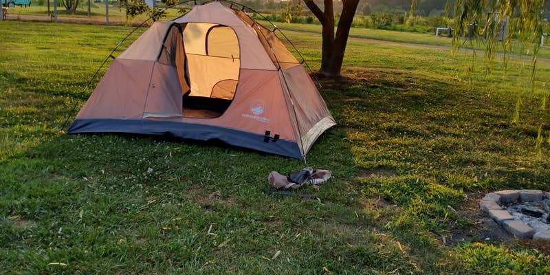 Camper submitted image from Historic Blueberry Farm