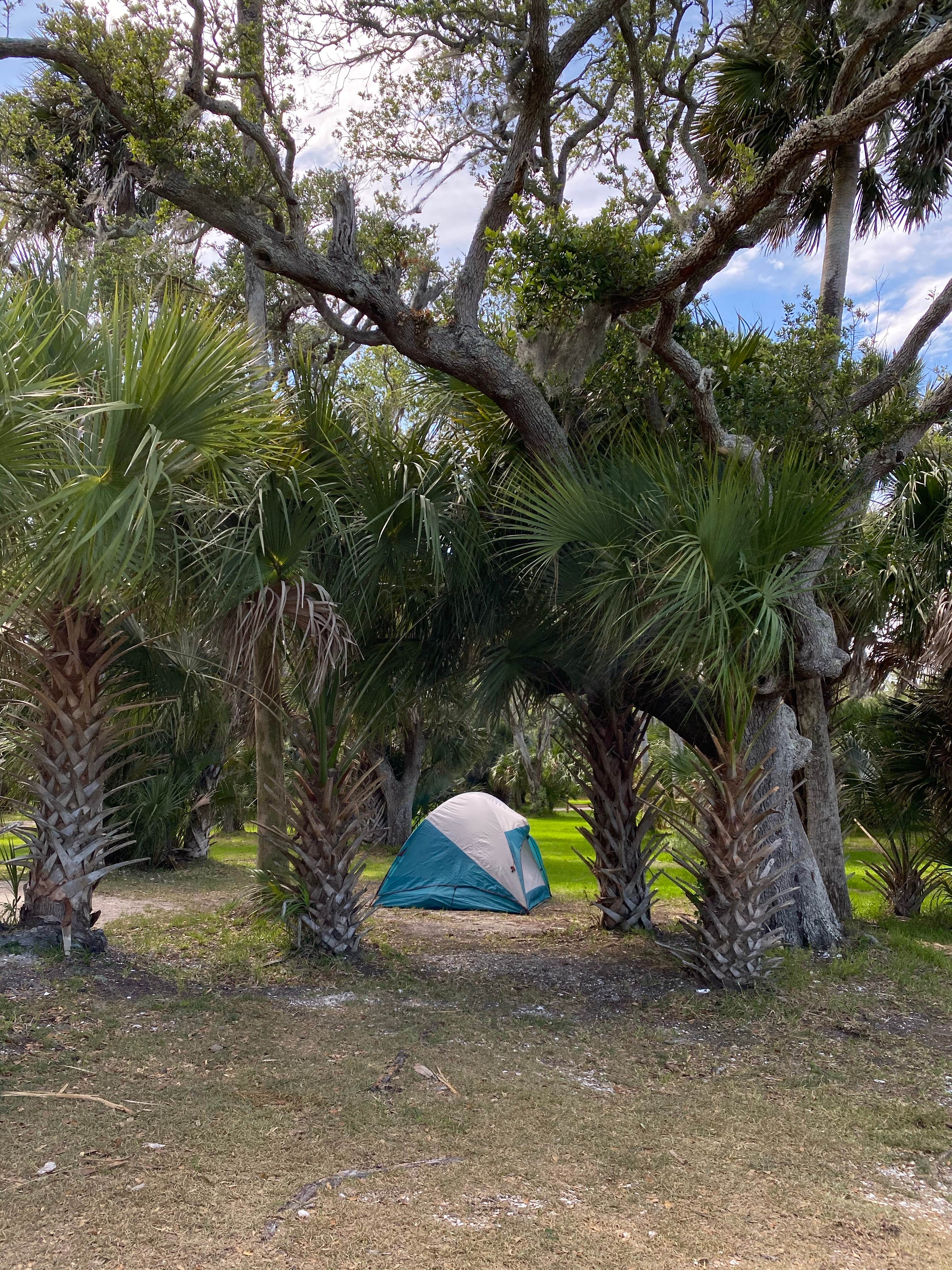 Katie M.'s photo of tent camping at Princess Place Preserve near Middleburg, FL